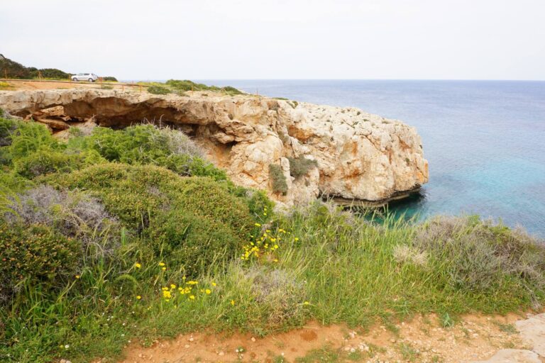 Nachhaltiges Teambuilding auf Mallorca: Ideen mit Inselbezug