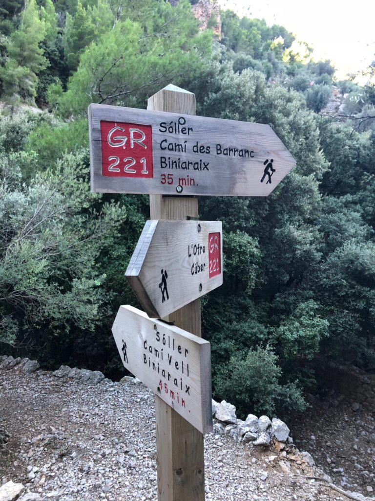 Survival Training Teambuilding auf Mallorca