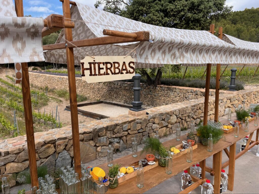 Hierbas Workshop Teambuilding auf Mallorca