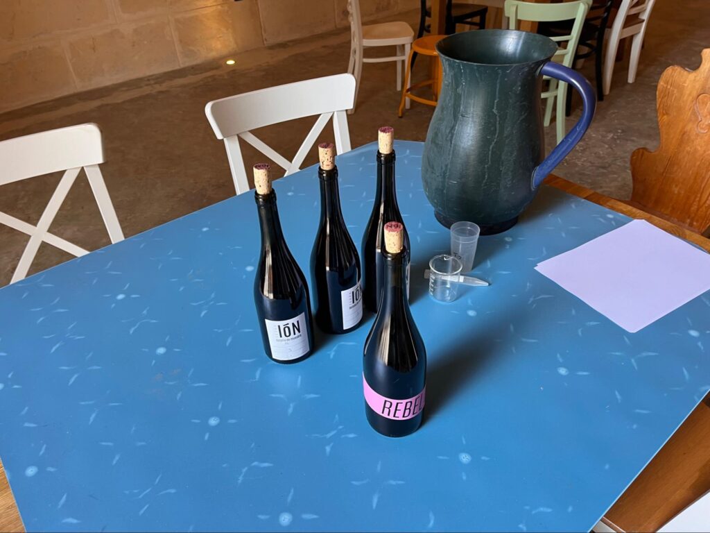 Wein Und Winzer Teambuilding auf Mallorca