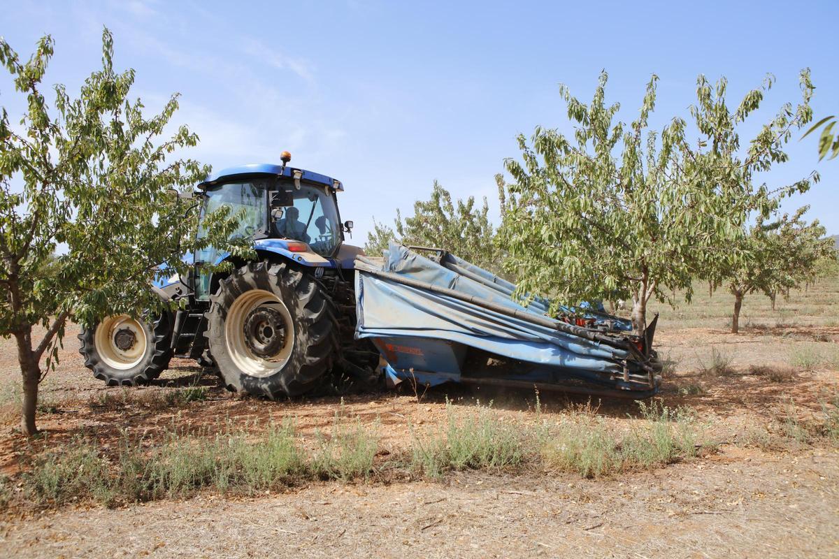 Farmer-rallye
