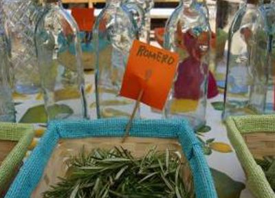 Hierbas Workshop Galerie Mallorca