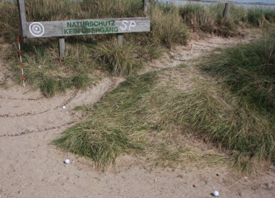 Crossgolf